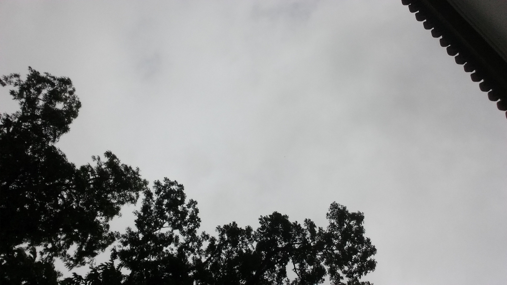 gloomy sky