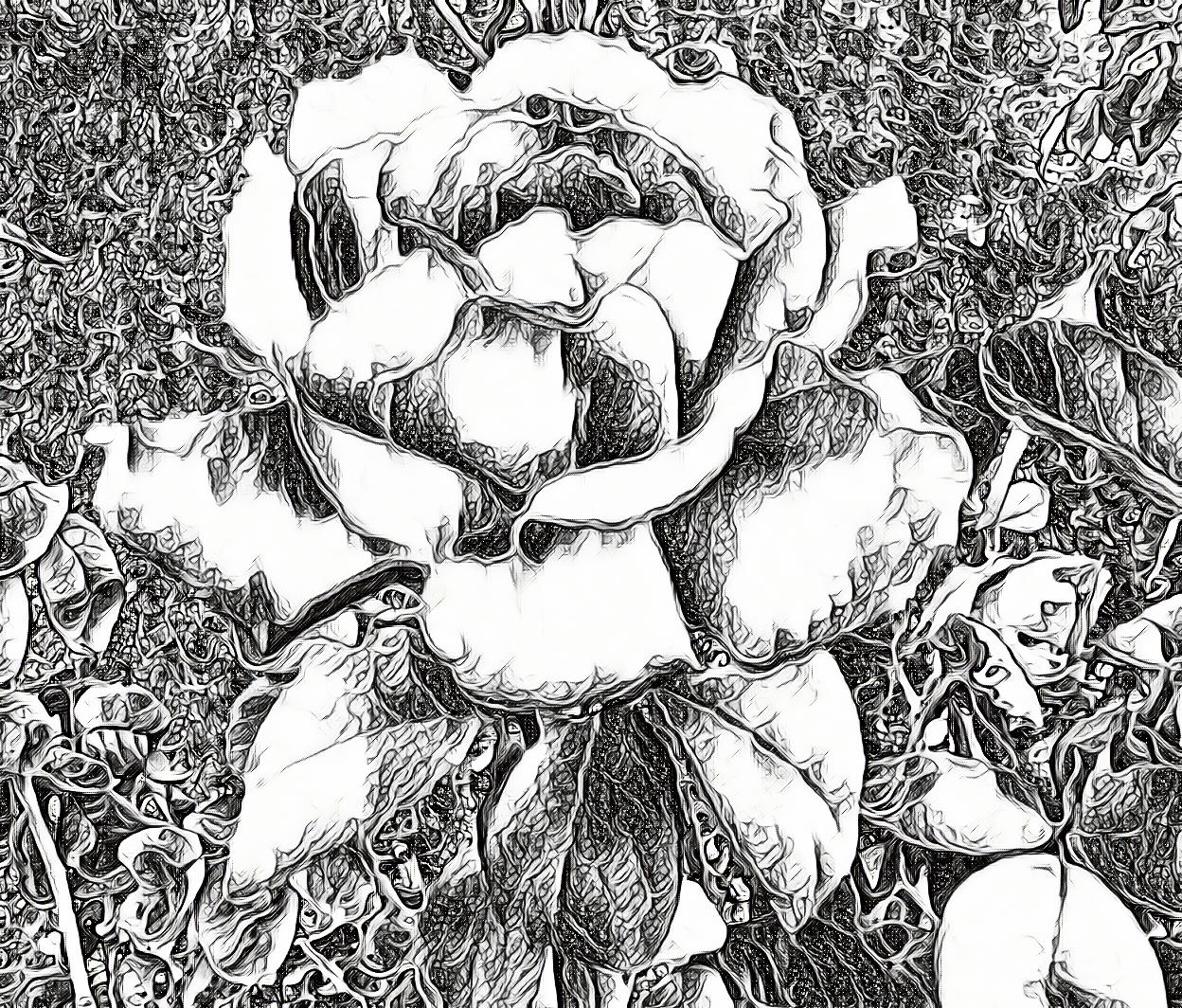 Photo taken by me with Pen effect on LunaPic.com