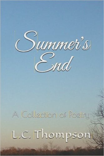 Photo of book cover for 'Summer's End'
