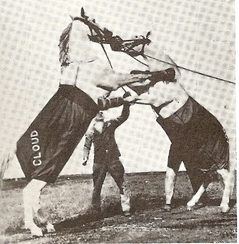 Equine Circus Act - Boxing Horses
