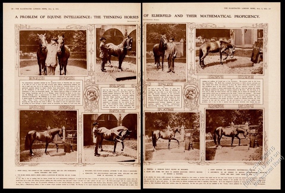 1913 Article about Educated Horses