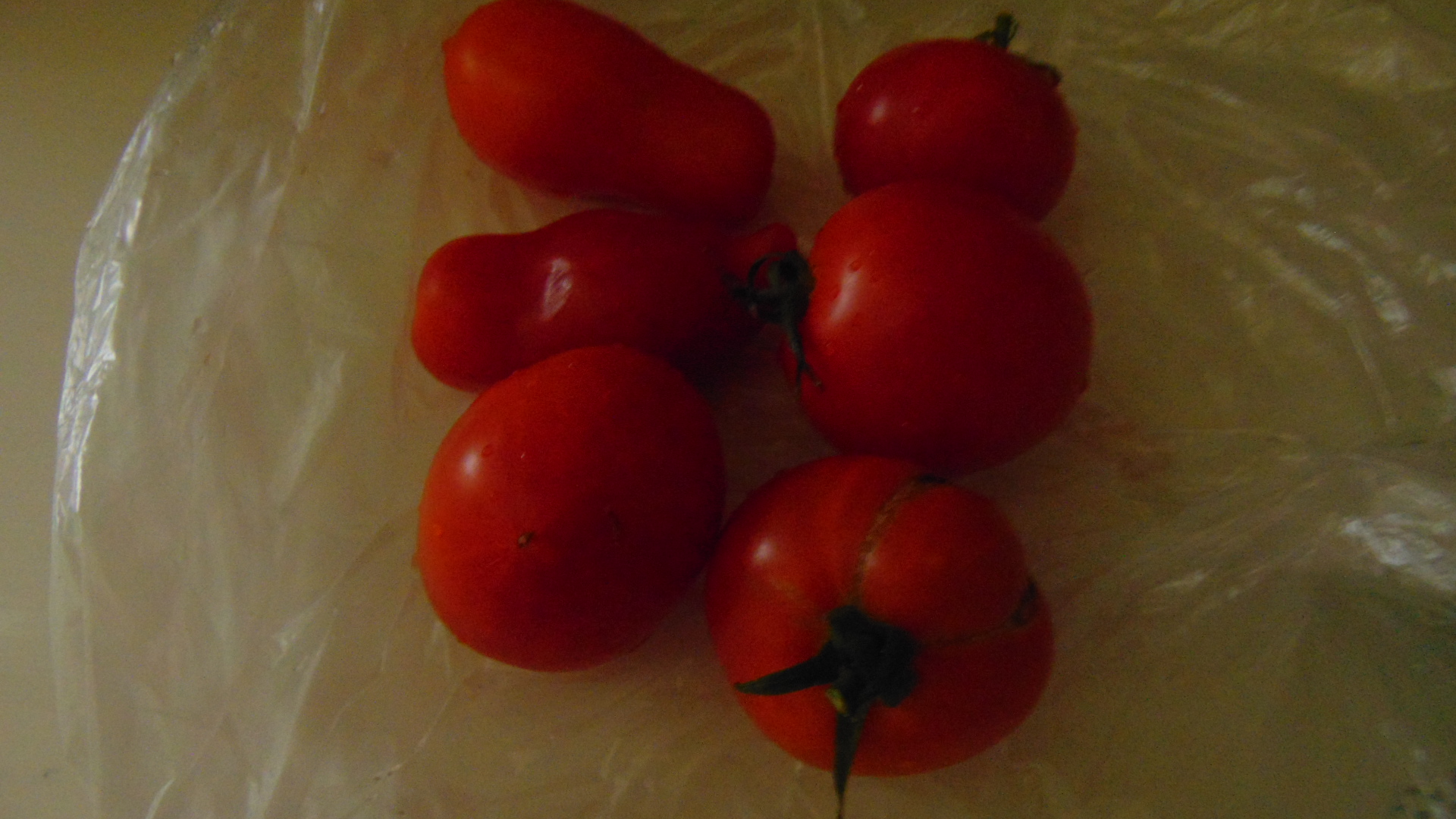 Tomatoes