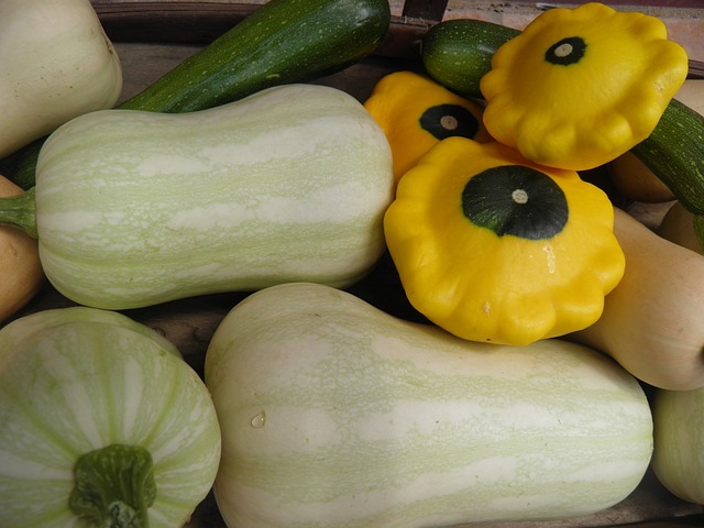 https://pixabay.com/en/squash-courgettes-patty-pan-2592649/