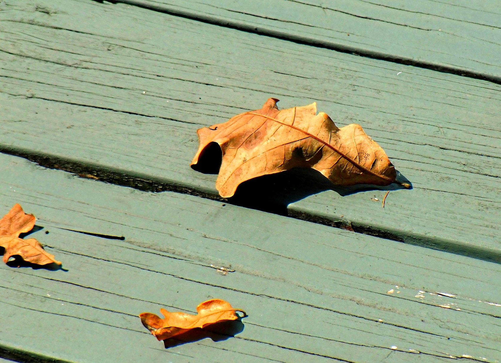 Cooler Days Coming - Gus Kilthau