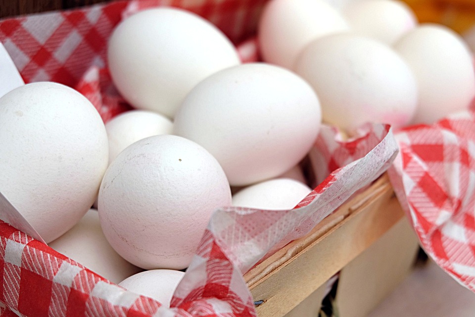 https://pixabay.com/en/egg-boiled-eggs-breakfast-egg-cups-2189986/ https://pixabay.com/en/egg-boiled-eggs-breakfast-egg-cups-2189986/