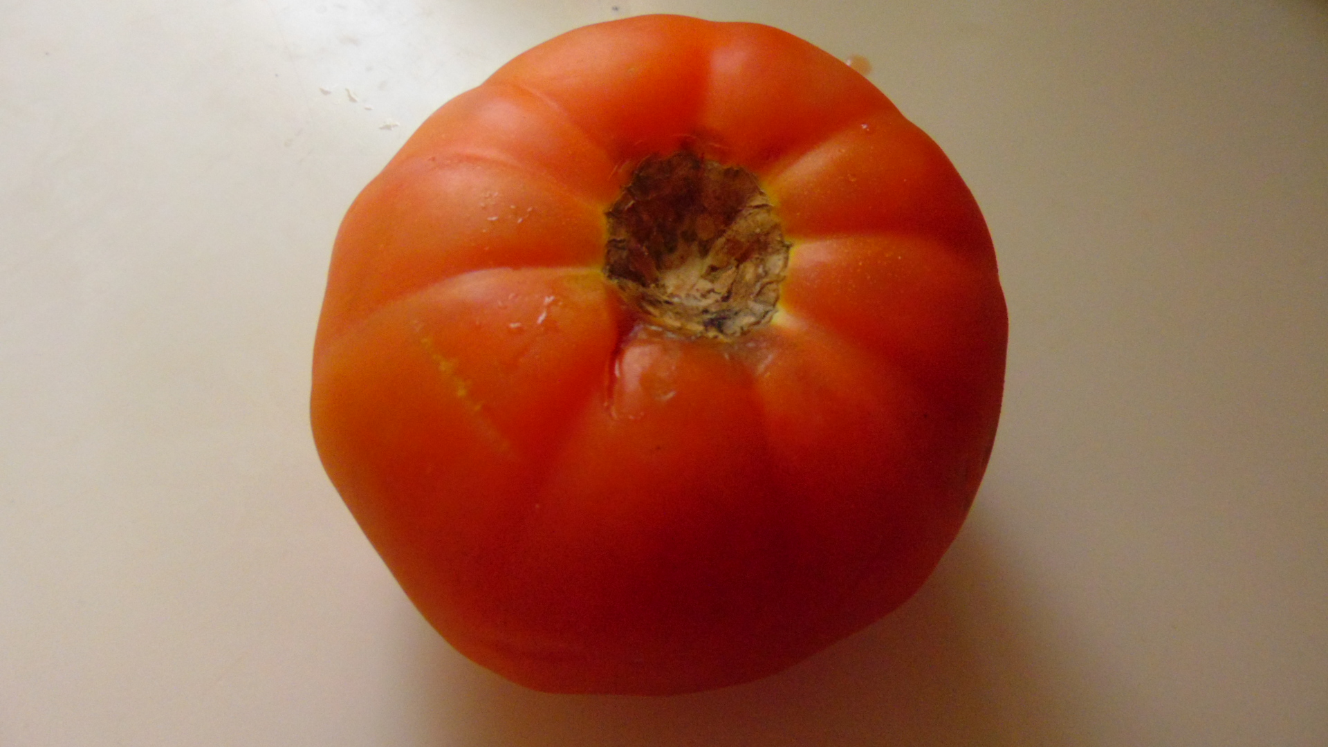 A big tomato from our garden.