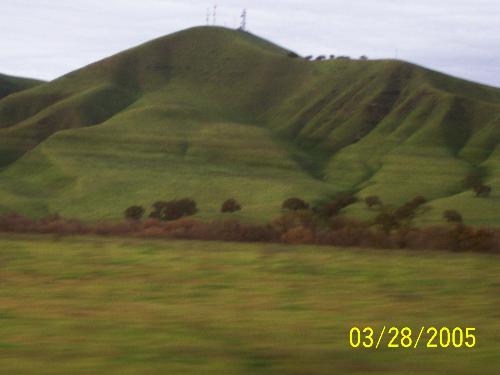 Green Pastures - Snapped this picture while going to Northern California. Don't think these guy's have a care in the world.