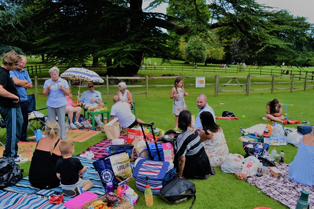 Picnic in the Park August 2017