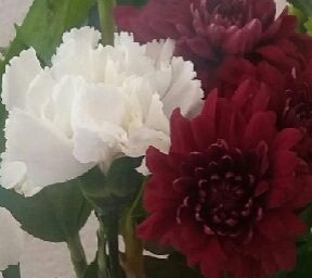 Flowers in my home Flowers in my home