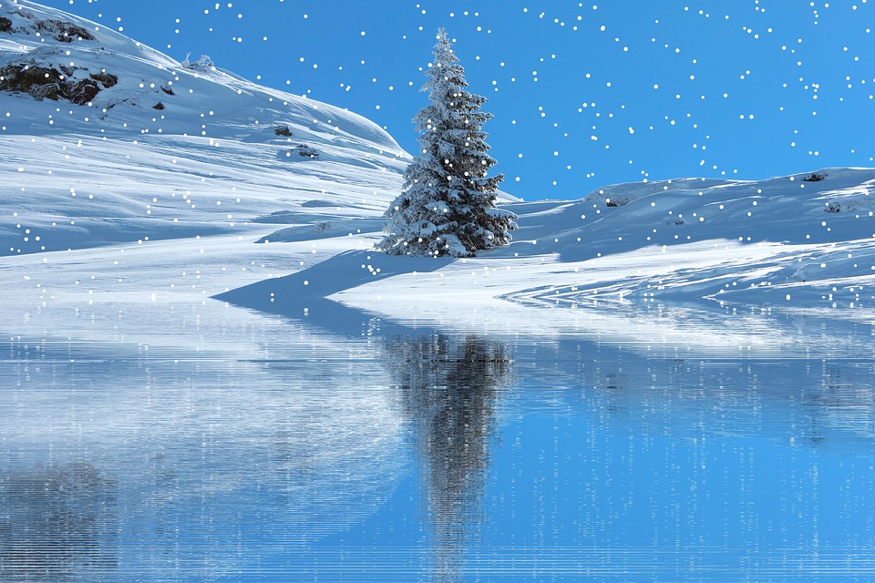 https://pixabay.com/en/winter-snow-snowfall-wintry-cold-2576616/