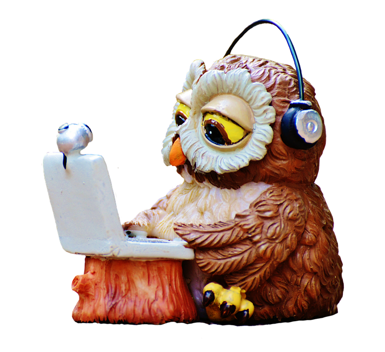 https://pixabay.com/en/owl-computer-headphones-funny-2608783/