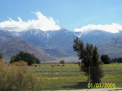 Beautiful Land - This was snapped while traveling thru Northern California. The drive makes you forget about the hustle of a big town.