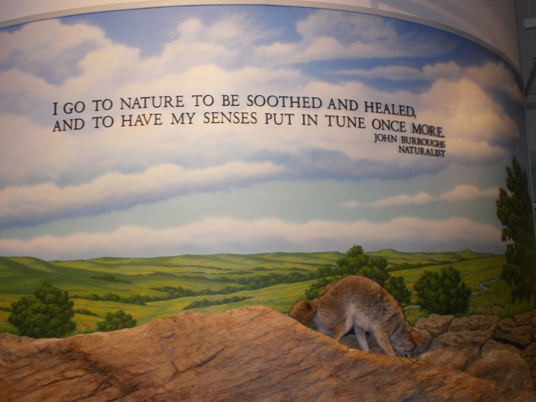 a painted mural great plains nature center