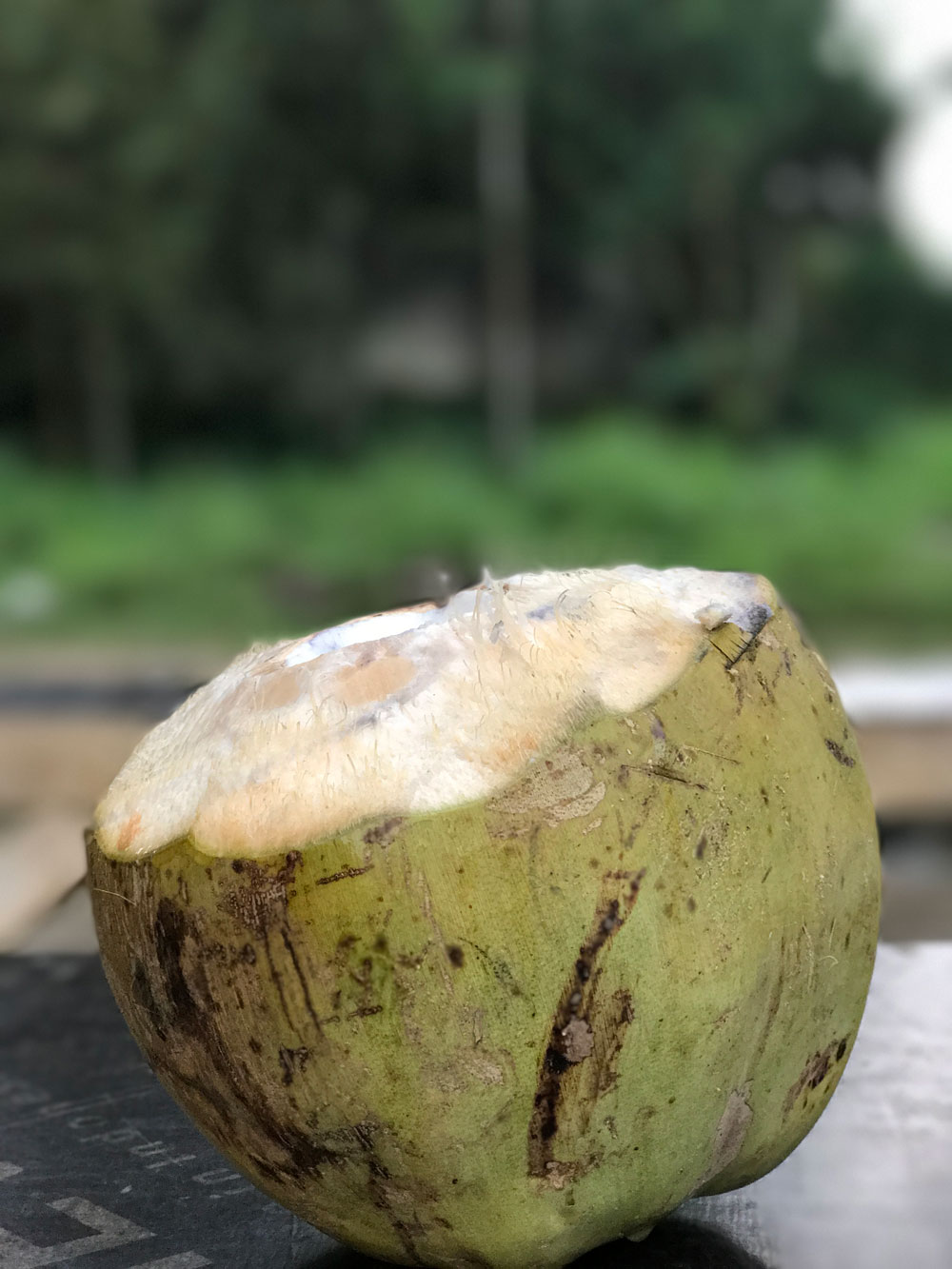 Shot on iPhone 7 Plus