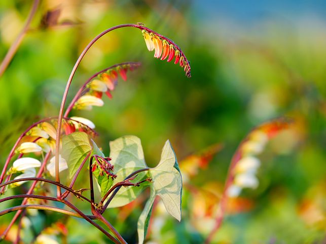 Image source pixabay Image source pixabay