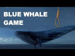 Blue Whale Game