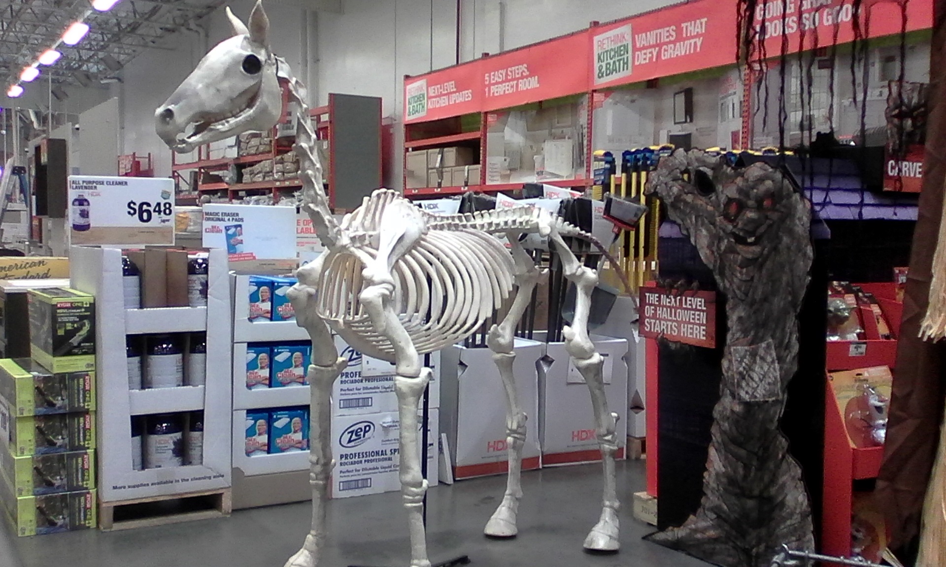 Giant Halloween Horse Skeleton Decor