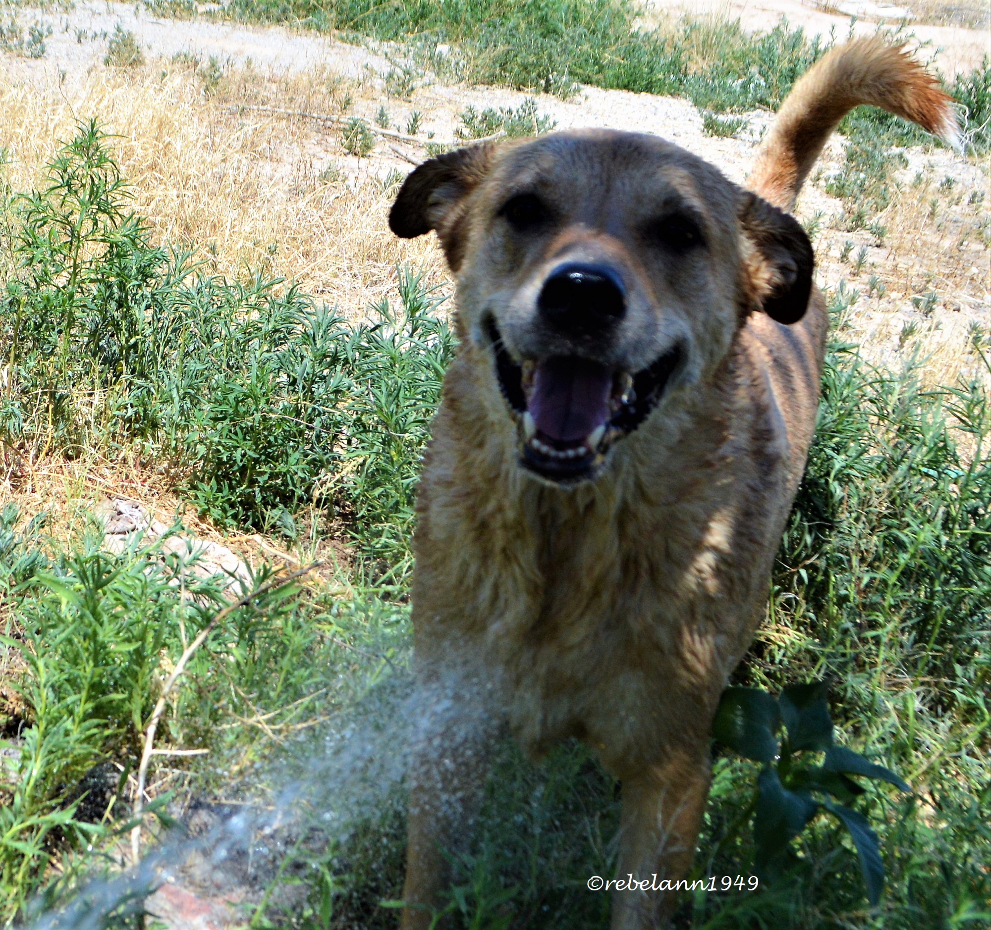 Ally cooling off Ally cooling off