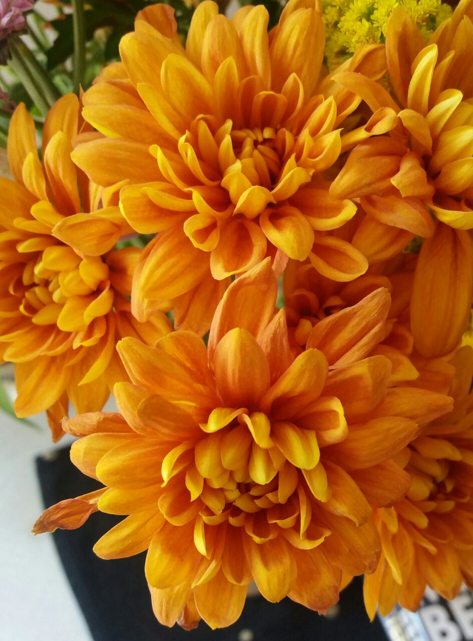Flowers in my home Flowers in my home