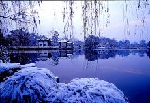 winter - winter