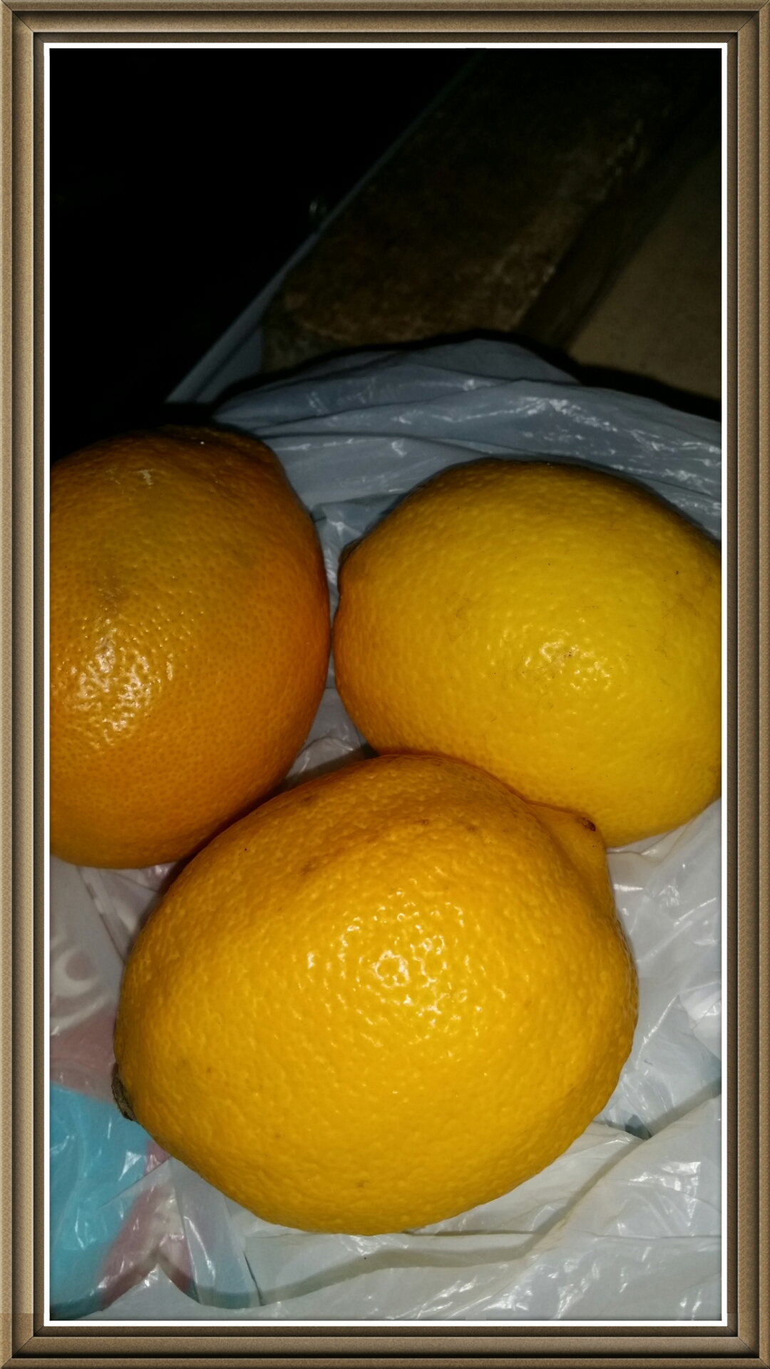 the 3 lemon fruits that my sister bought.
