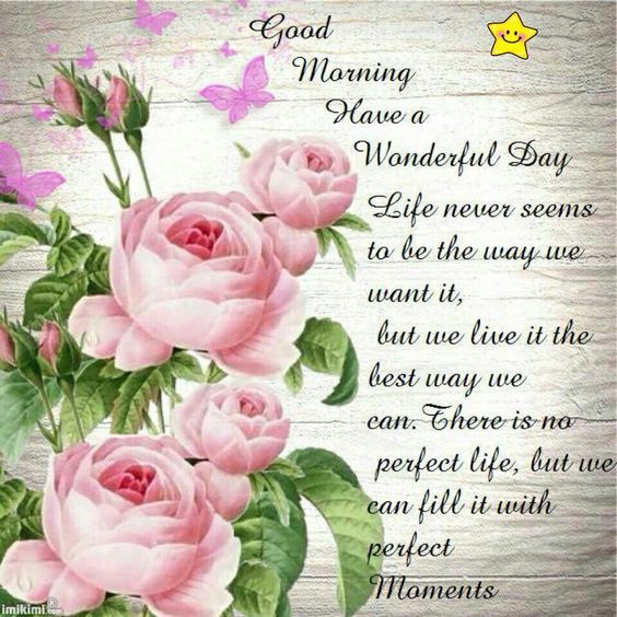http://www.lovethispic.com/image/315636/good-morning%2C-have-a-wonderful-day
