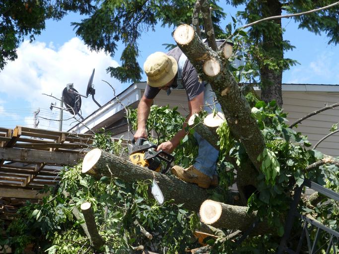 https://snappygoat.com/s/?q=fallen+tree#bbf2c51280c382df395e9546c885247e43572f78,3,2563. https://snappygoat.com/s/?q=fallen+tree#bbf2c51280c382df395e9546c885247e43572f78,3,2563.