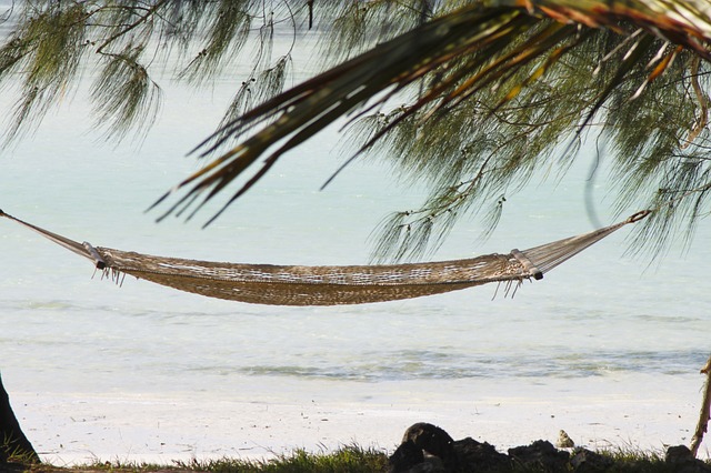 https://pixabay.com/en/hammock-zanzibar-holiday-sand-beach-2676646/ https://pixabay.com/en/hammock-zanzibar-holiday-sand-beach-2676646/