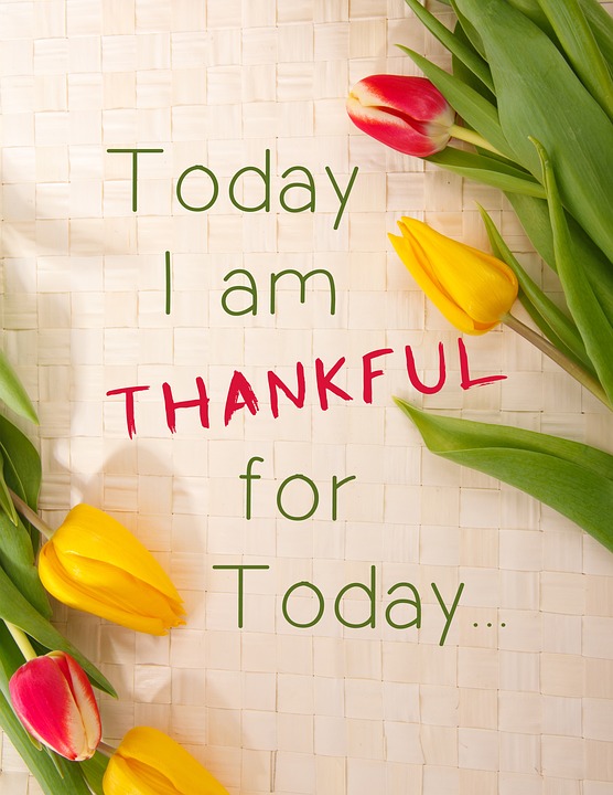 #MyLot #GratitudeChallenge #Gratitude #Grateful #Thankful #Life