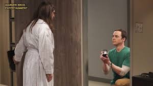 The Big Bang Theory The Big Bang Theory
