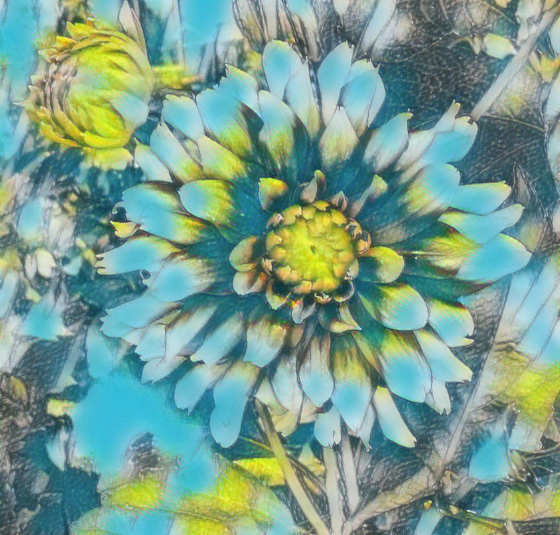 Photo of a dahlia taken by me with Sketch and Fantasy effects on LunaPic.com