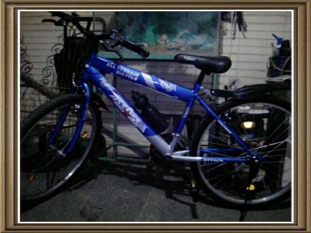 my son&#039;s bike