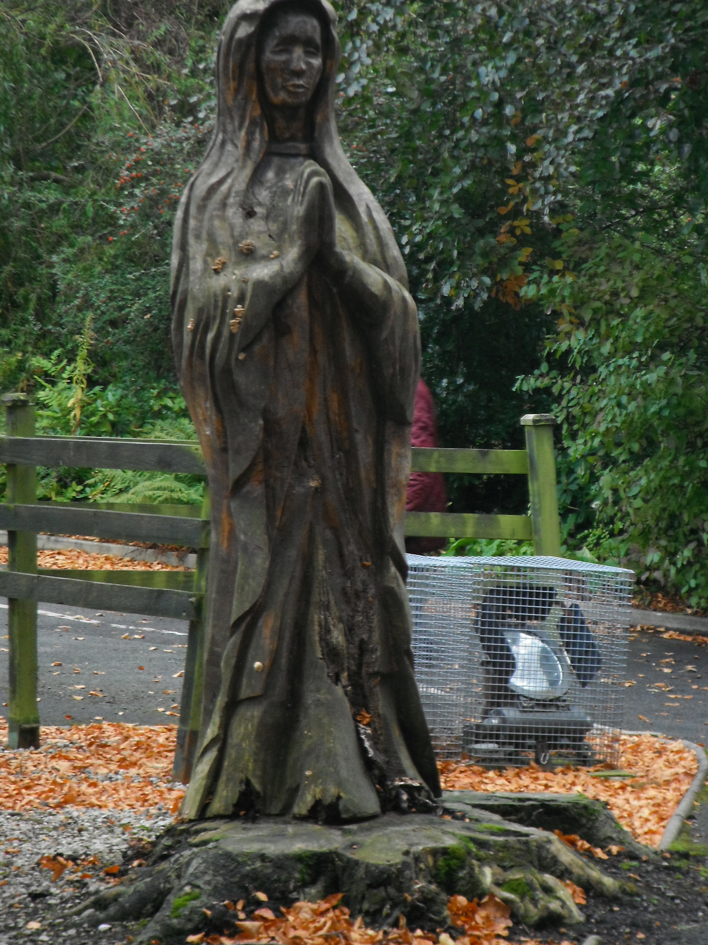 Photo taken by me - statue of Mary - Bamber Bridge, Preston Photo taken by me - statue of Mary - Bamber Bridge, Preston