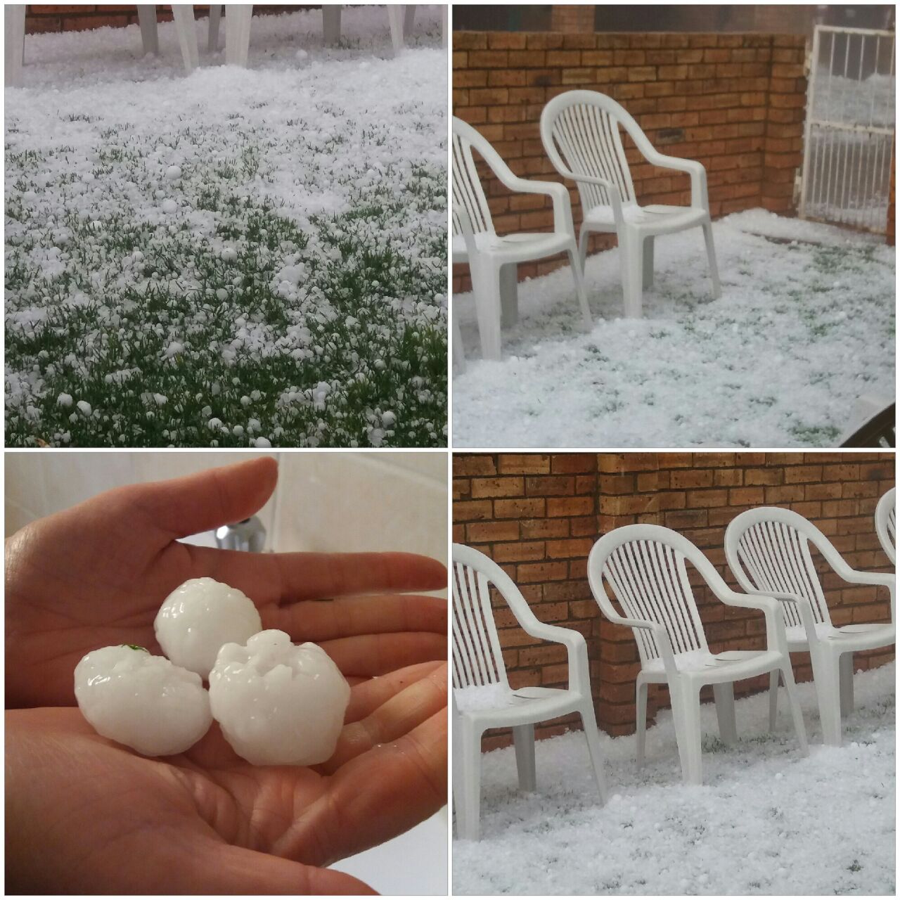Hail covering our garden! Hail covering our garden!