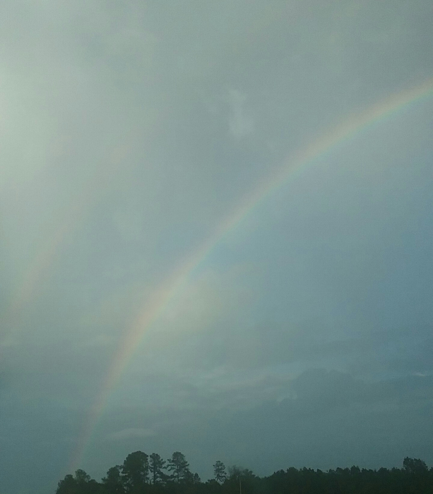 Rainbow picture I took Rainbow picture I took