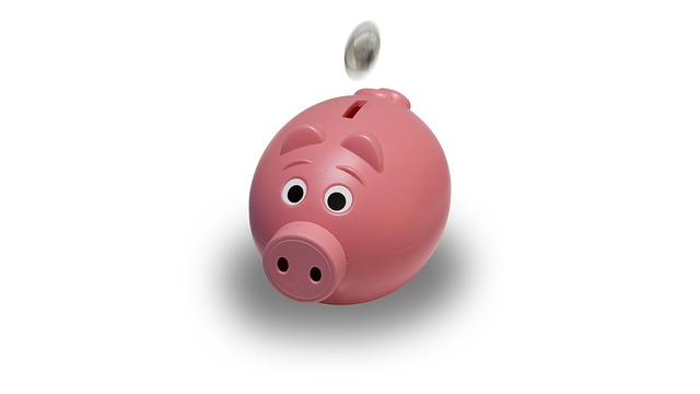 https://pixabay.com/en/piggy-bank-coin-pink-piggy-bank-1056615/