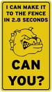 confidence!!! - have confidence...