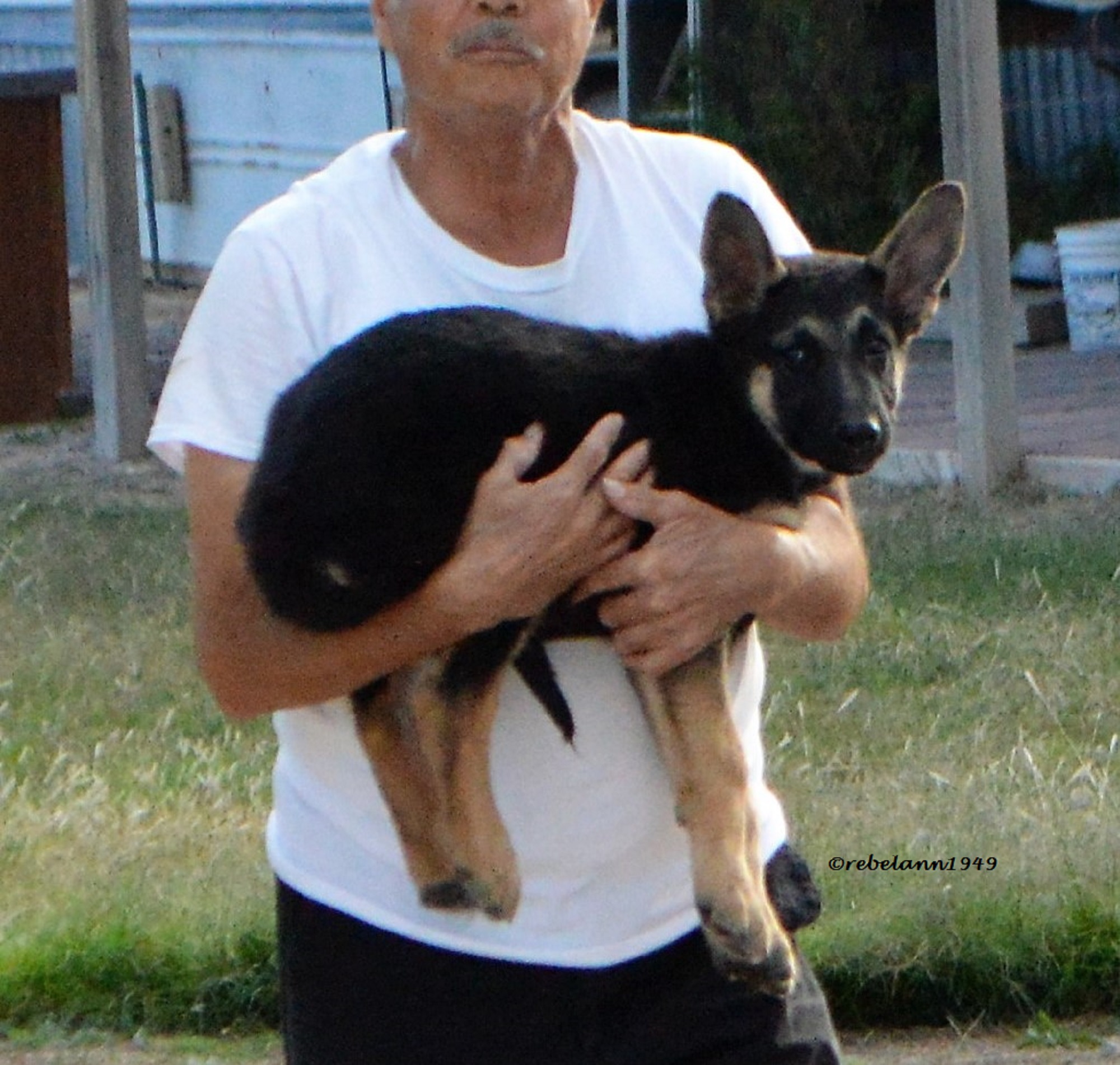 2legger holding Junior, my new neighbor. I took this shot 2 days ago. 2legger holding Junior, my new neighbor. I took this shot 2 days ago.