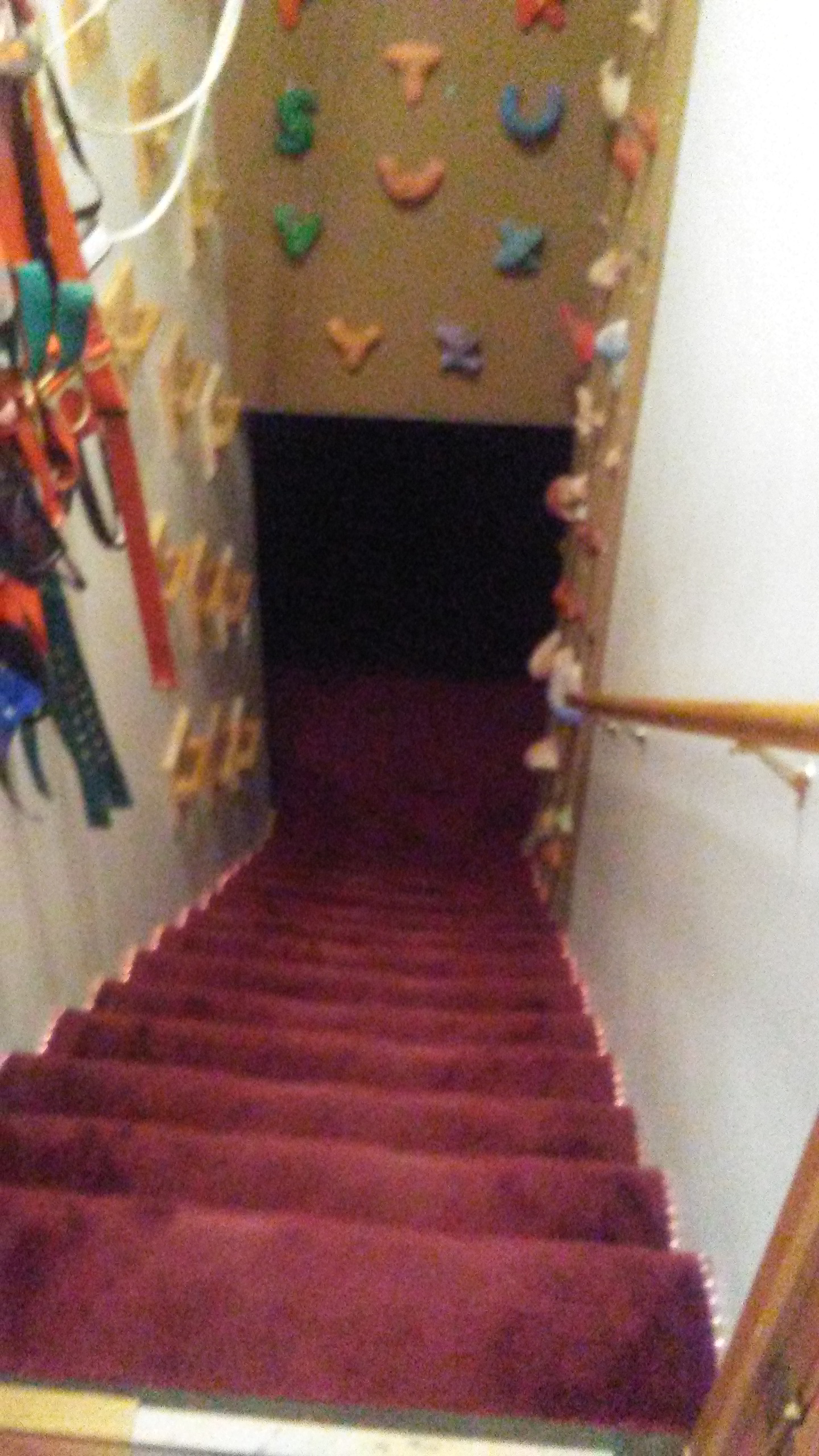 © 2017 Marsha Musselman 'climbing staircase' for muscle strength. 