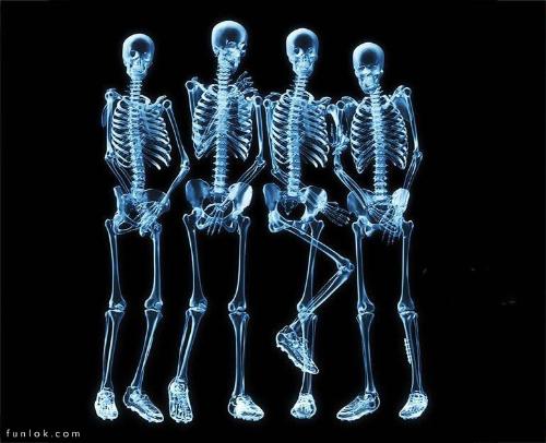 Skeletons - Skeletons