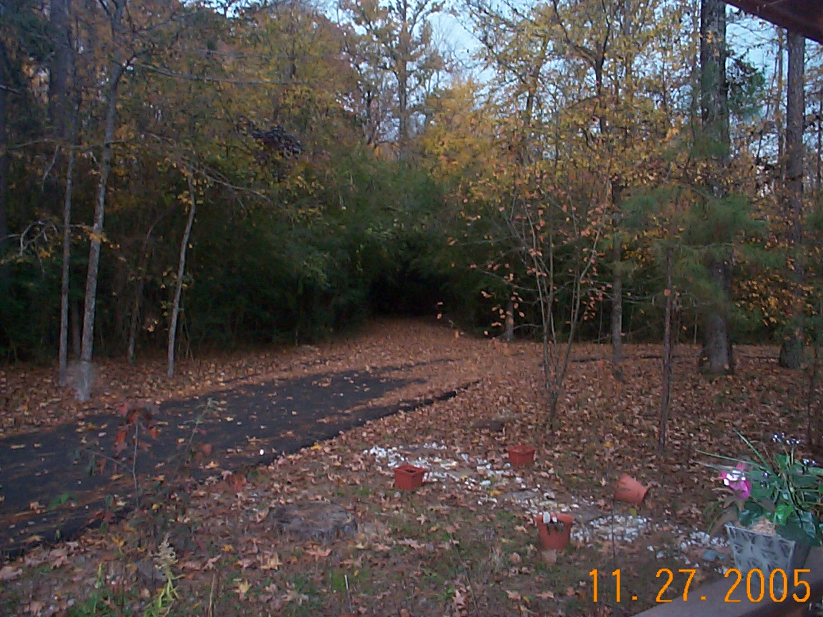side yard - My yard is gorgeous in the fall.  This a view taken from my porch that runs along the side of my house looking out toward the woods.