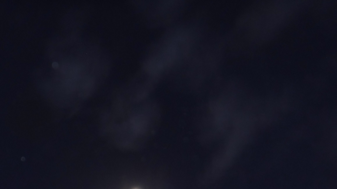 Cropped version of a photo taken by me 11-9-17 Cropped version of a photo taken by me 11-9-17