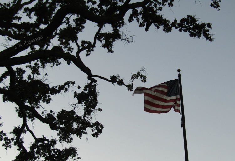 The American Flag, Symbol of a United People Under One Constitution The American Flag, Symbol of a United People Under One Constitution