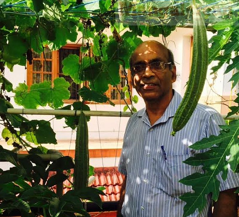 Dr KS Bhat in his terrace garden