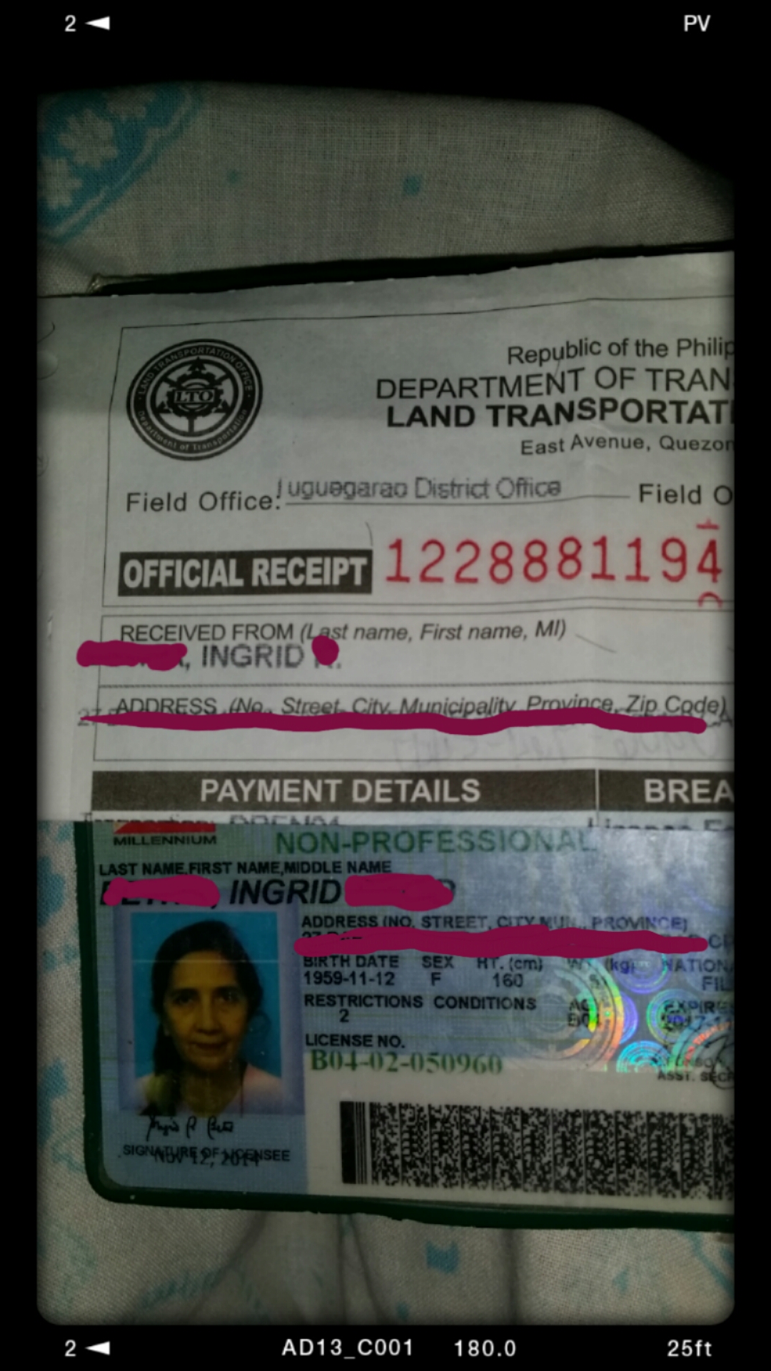 my license my license