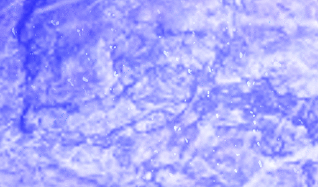 Photo taken by me with blue effect done on LunaPic.com Photo taken by me with blue effect done on LunaPic.com