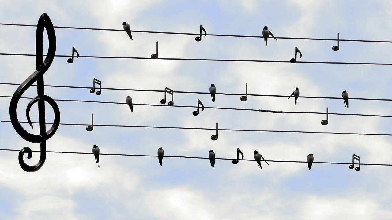 https://pixabay.com/en/birds-swifts-singing-twitter-music-2672101/