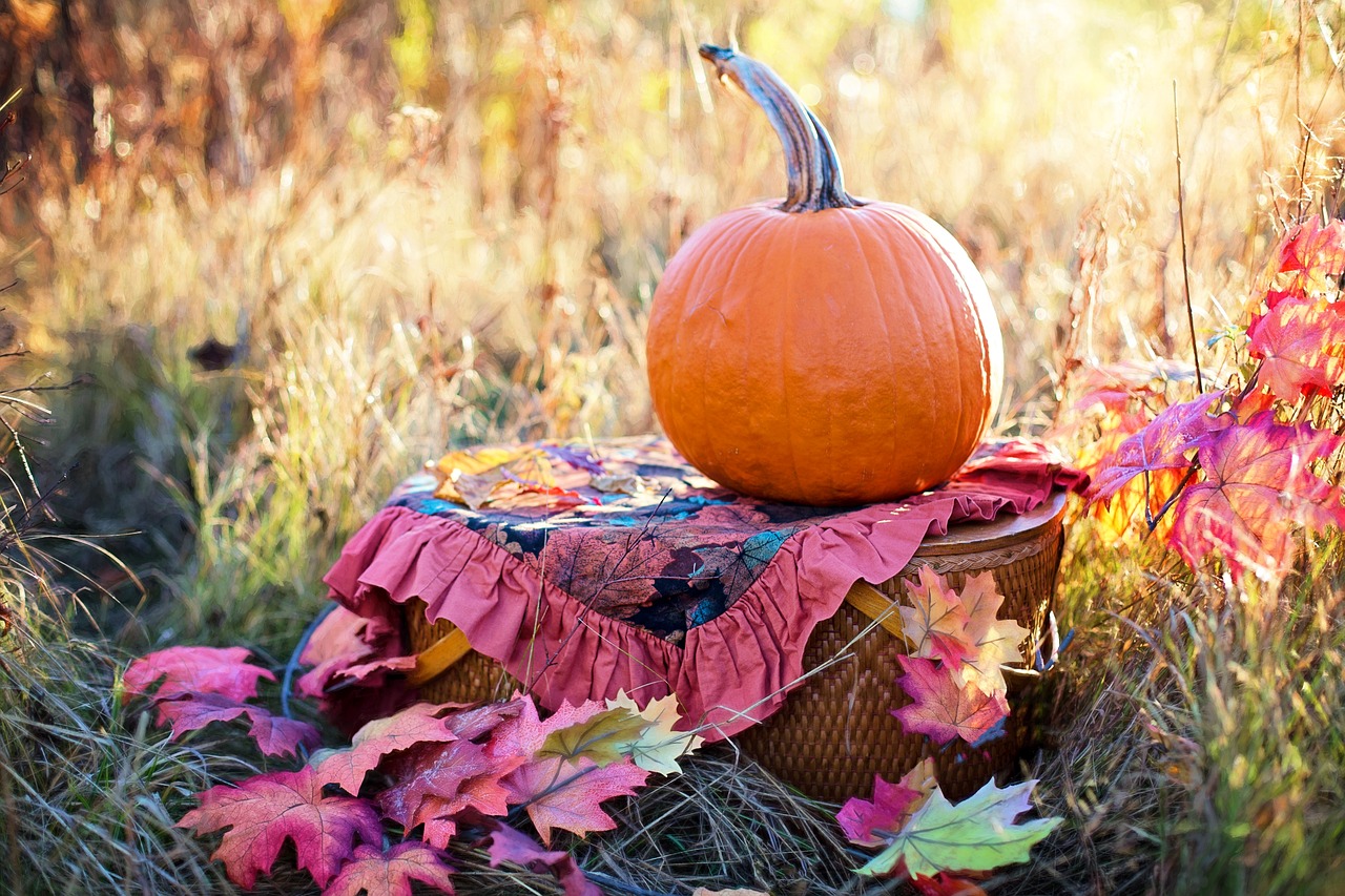 pixabay free image https://pixabay.com/en/autumn-fall-still-life-still-life-2900167/