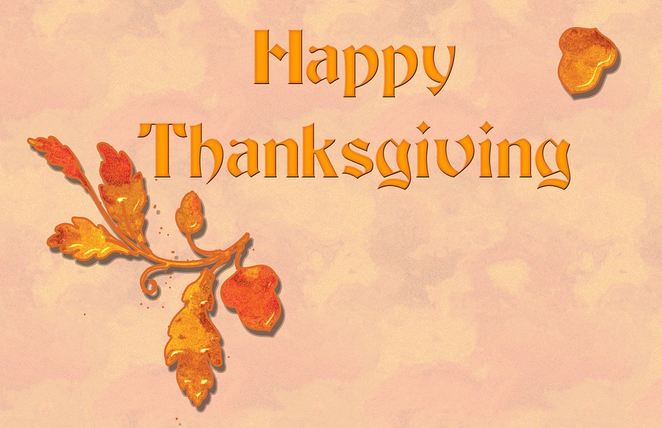Photo Credit: I found this Thanksgiving graphic on Pixabay.