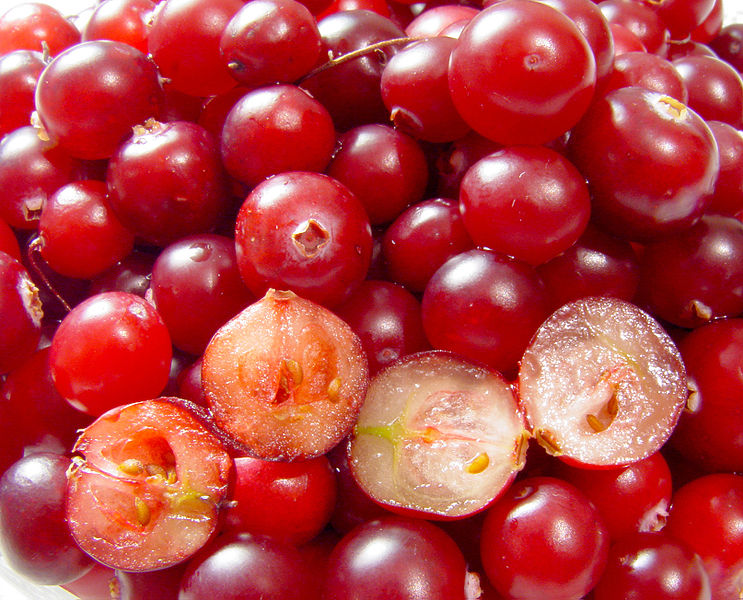 Image Source:   https://commons.wikimedia.org/wiki/File:Cranberries.jpg